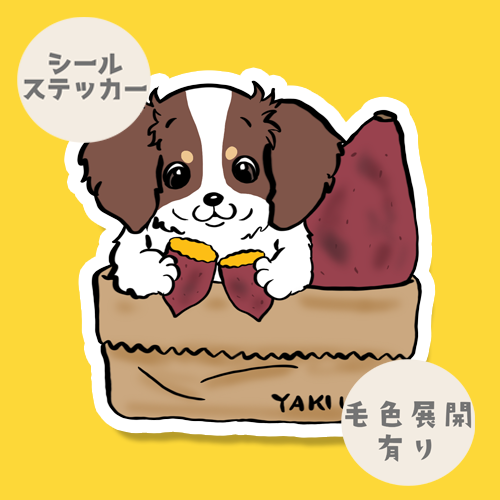 ヤキイモ大好きチワックスちゃん。60-10