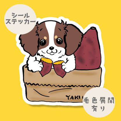 ヤキイモ大好きチワックスちゃん。60-10