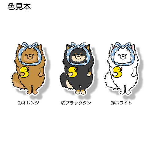 お風呂上がりのポメチワちゃん。102-10