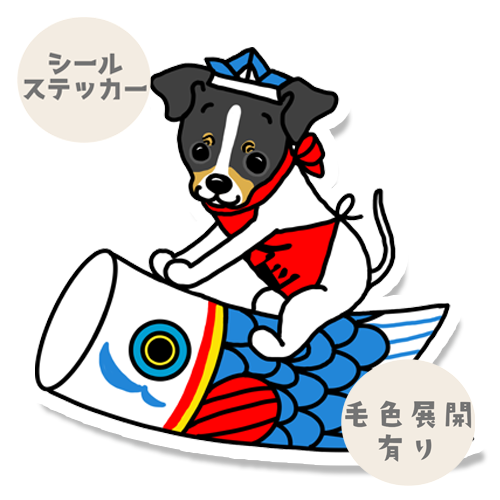 端午の節句のニホンテリアちゃん。71-10