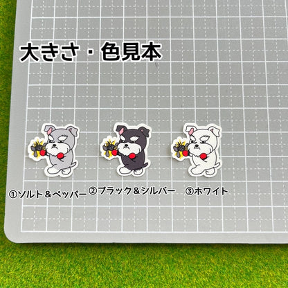 シュナウザーちゃんのフィラリア予防。44-30