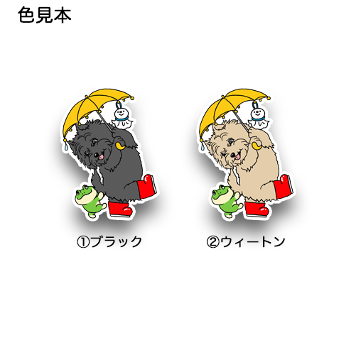 梅雨のお散歩で出会ったケアーンテリアちゃん。29-12