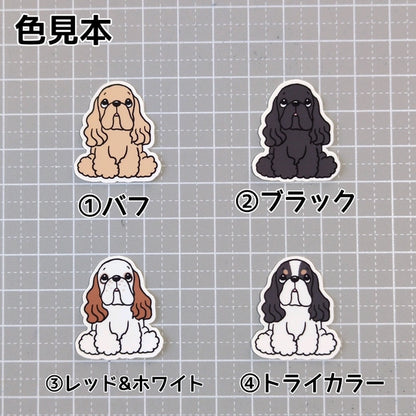おすわりしてるアメコカちゃん。5-3