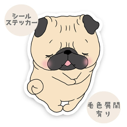 恥ずかしがり屋のパグちゃん。76-