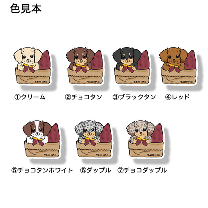 ヤキイモ大好きチワックスちゃん。60-10