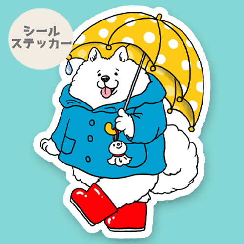梅雨のお散歩のサモエドさん。33-22