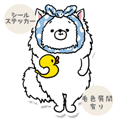 お風呂上がりのポメチワちゃん。102-10