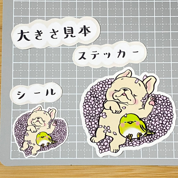 桜のクッションでスヤスヤフレブルちゃん。96−248