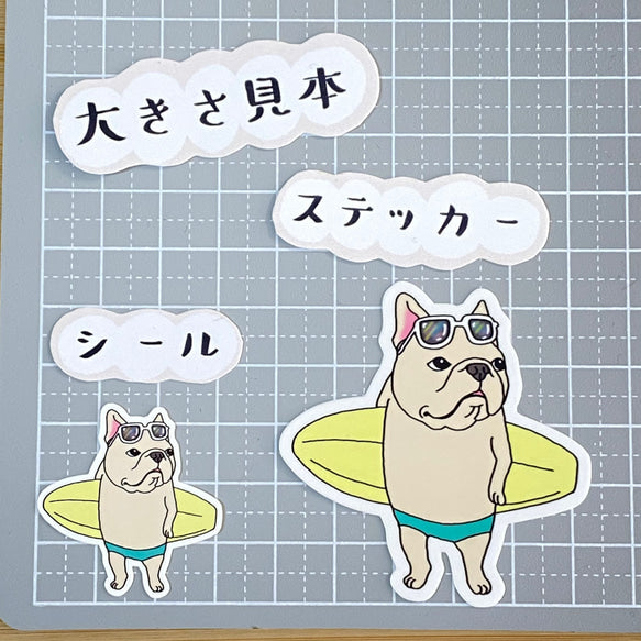 サーファーフレブルちゃん。96−127