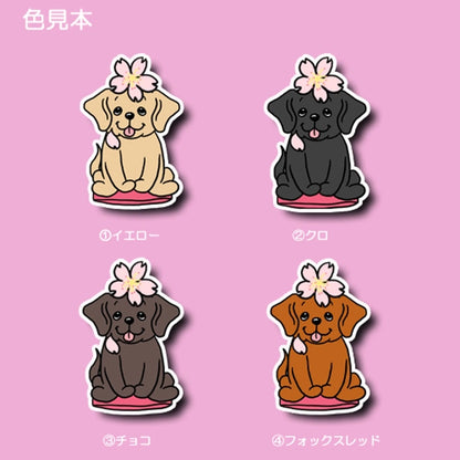 ラブラドールちゃんの春のご挨拶。117-19