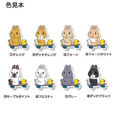 遊べるの待ってるネザーランドドワーフちゃん。185-1