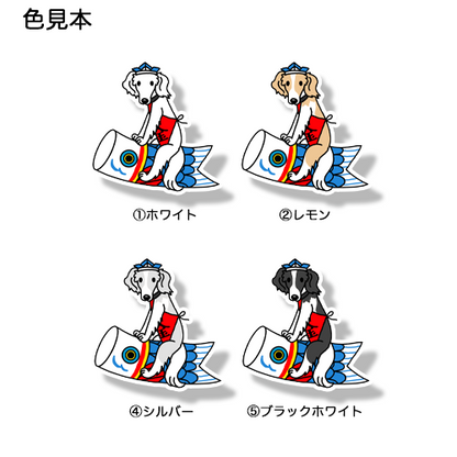 端午の節句のボルゾイさん。105-14