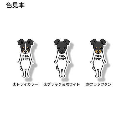ニホンテリア。71-1