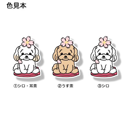 マルプーちゃんの春のご挨拶。111-16