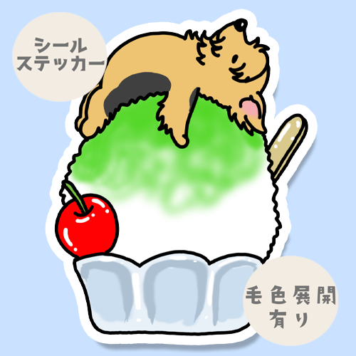 かき氷で冷えてるヨーキーちゃん。114-3