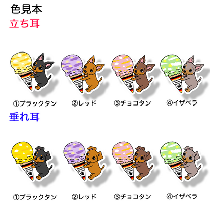 アイスクリームとミニピンちゃん。113-7