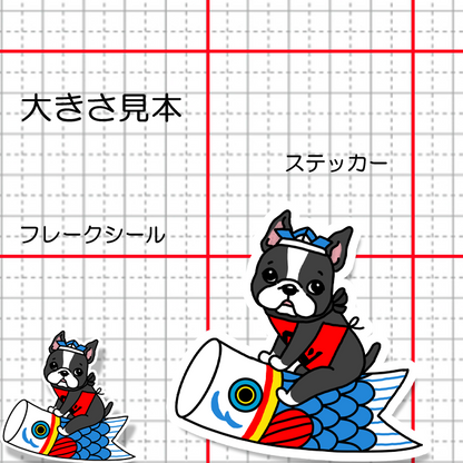 端午の節句のボステリちゃん。101-25