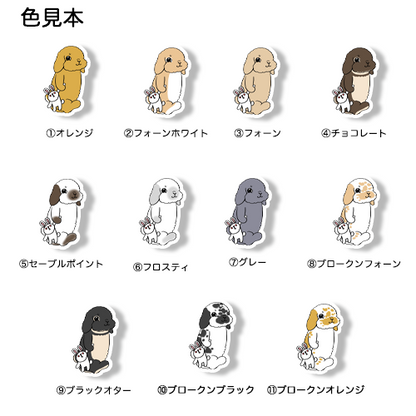 ウサギのぬいぐるみを持ったうさぎちゃん。191-21