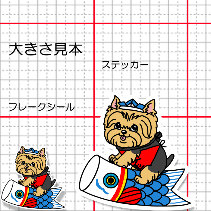 端午の節句のヨーキーちゃん。114-31
