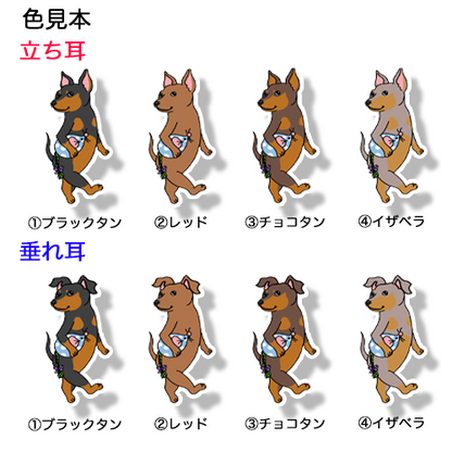 てくてくミニピンちゃん。113-1