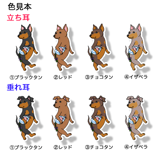 てくてくミニピンちゃん。113-1