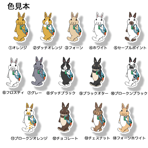 おでかけウサギちゃん。191-24
