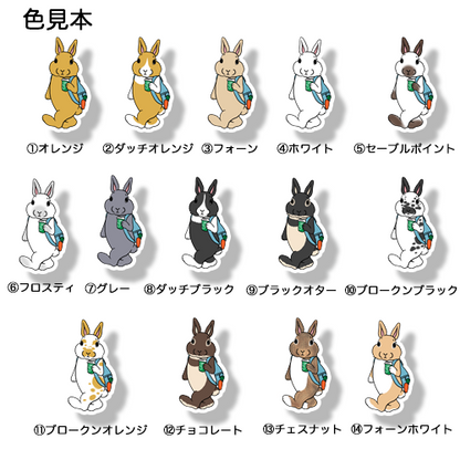 おでかけウサギちゃん。191-24