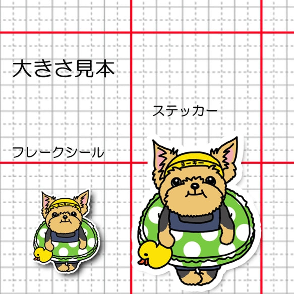 スイミングヨーキーちゃん。114-13