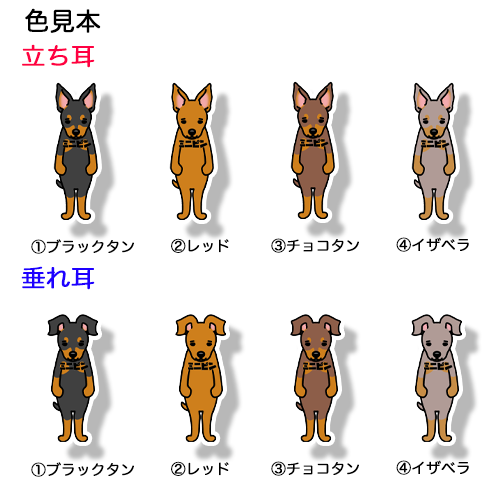 ミニピン。113-14