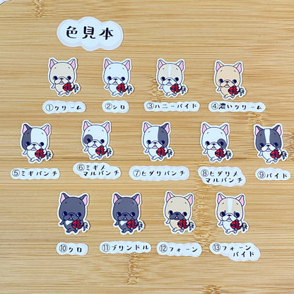 お気に入り金魚とお散歩フレブルちゃん。96−131