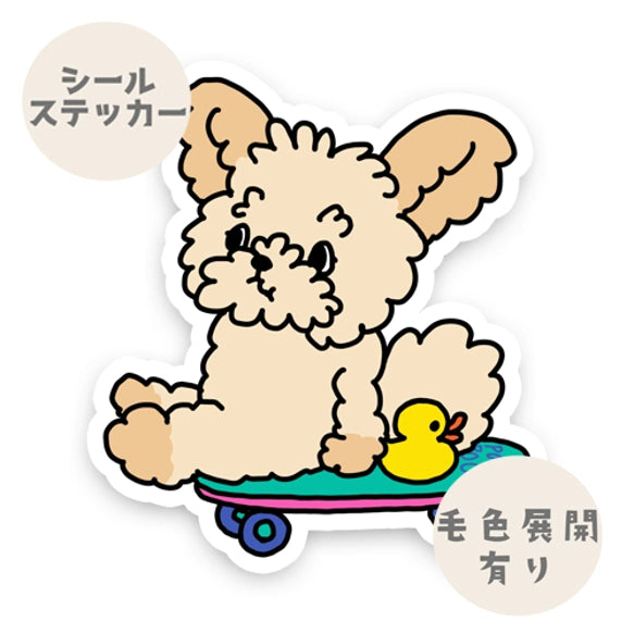 誰か来ないかなーって待ってるポメプーちゃん。103-
