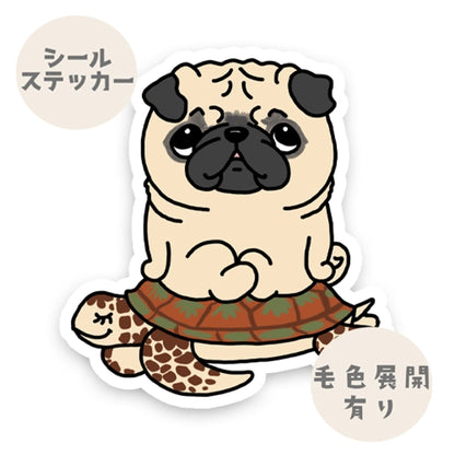 ウミガメさんに乗ったパグちゃん。76-