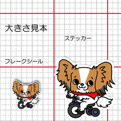 三輪車で走り続けるパピヨンちゃん。80-