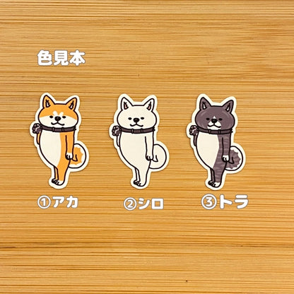ヤッホー♪って待っててくれたアキタイヌ。3-6