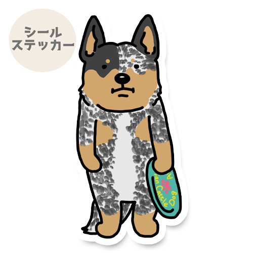 遊んでほしいオーストラリアンキャトルドッグちゃん。19-6