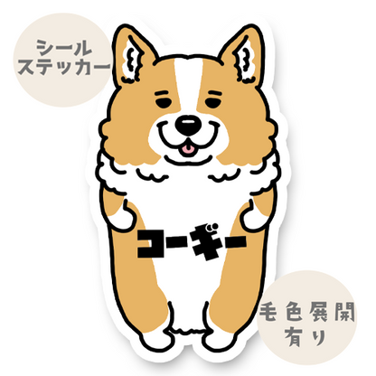 コーギー。15-1