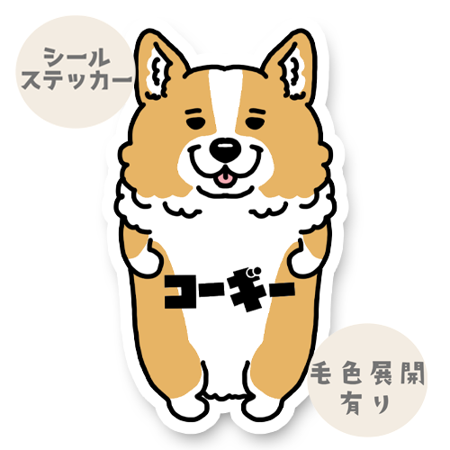 コーギー。15-1