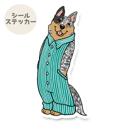 オーバーオールのオーストラリアンキャトルドッグちゃん。19-7