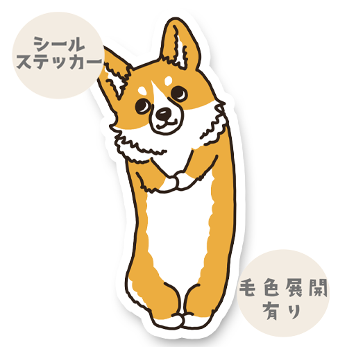 おねだりコーギーちゃん。15-9
