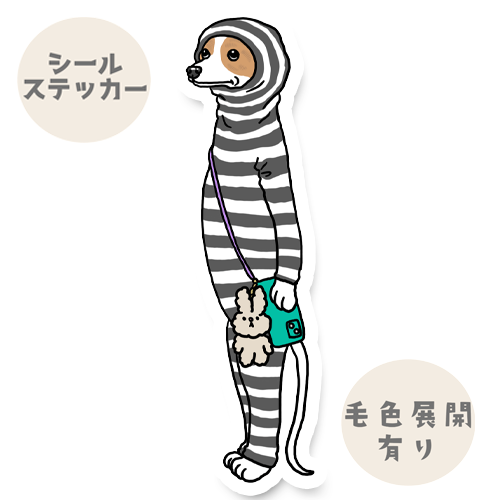 ウィペットさんの朝んぽスタイル。13-6