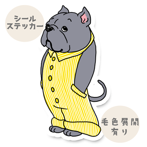 オーバーオールのアメリカンブリーちゃん。7-8