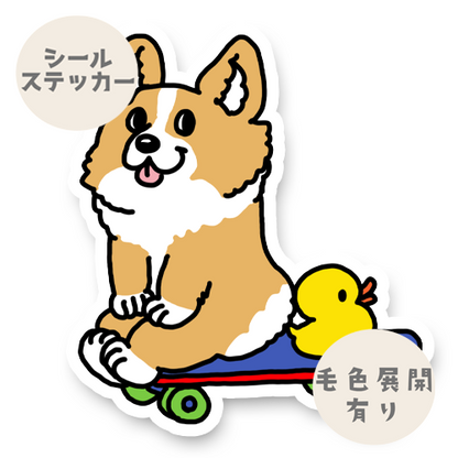 誰か遊んでくれないかなーって待ってるコーギー15-3