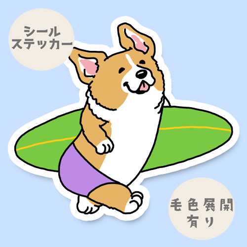 サーファーコーギーちゃん。15-16