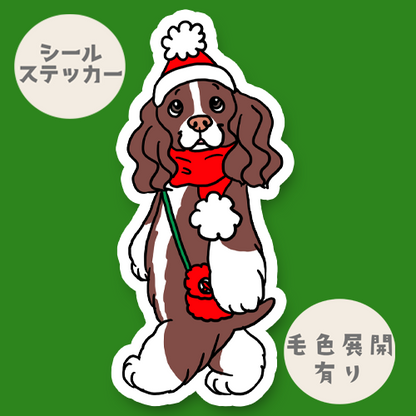 イングリッシュスプリンガーちゃんのクリスマス。11-8