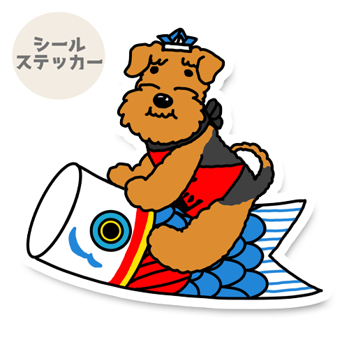 端午の節句のウェルシュテリア/エアデールテリアさん。17-5/18-5