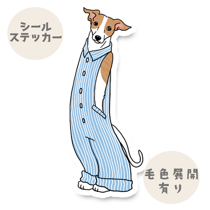 オーバーオールのウィペットちゃん。13-8