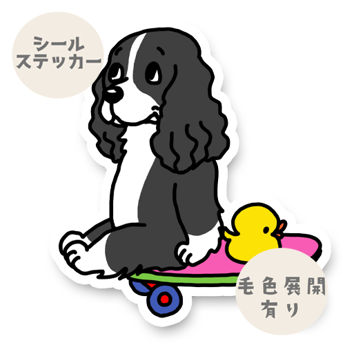 誰か来ないかなーって待ってるイングリッシュスプリンガースパニエルちゃん。11-3