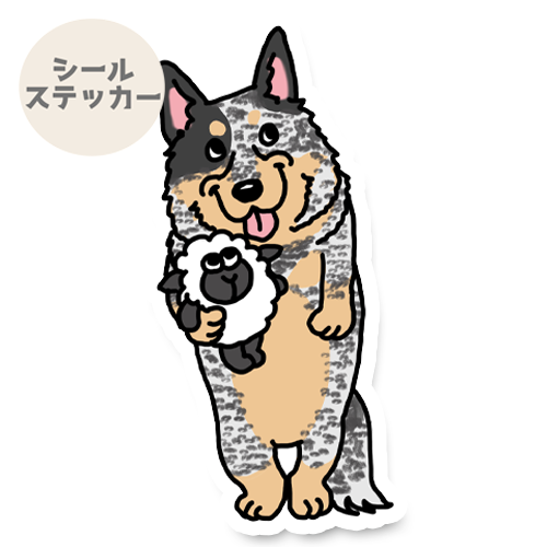 おりこうさんで待ってるオーストラリアンキャトルドッグちゃん。19-2