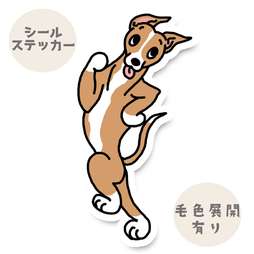 走るよ！ウィペットさん。13-3