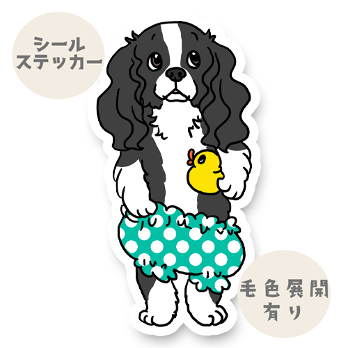 おパンツイングリッシュスプリンガーちゃん。11-7